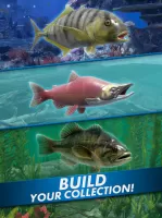 Go Fishing! Fish Game