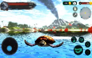 The Turtle