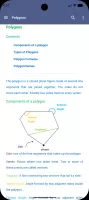 Math Formulae Lite