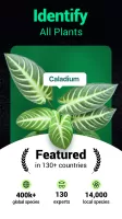 Plantum - Plant Identifier