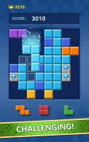 Block Puzzle: Block Smash Game