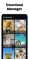 All Video Downloader & Player