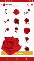 Emoji and Memoji Sticker Maker
