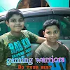 gaming warriors