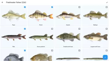 Fish Planet Calendar