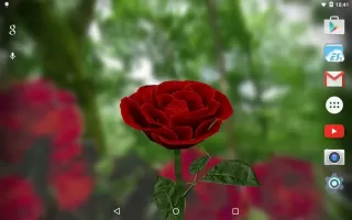 3D Rose Live Wallpaper Lite