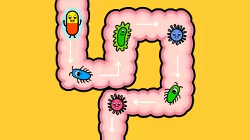 Timpy Doctor Games for Kids