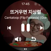 SBS 고릴라