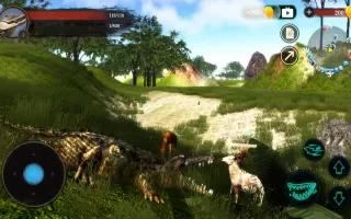 The Crocodile