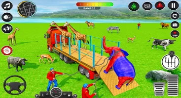 Animal Transports Truck Games