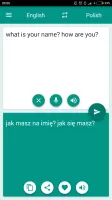 Polish-English Translator