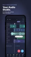 Pro Audio Editor