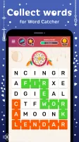 Word Catcher
