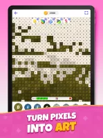 Cross Stitch:Craft & Art