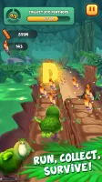 Kakapo Run