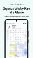 Daily Schedule
