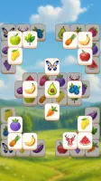 Poly Match