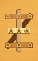 Screw Puzzle