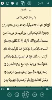 القران كريم صوت وصورة بدون نت
