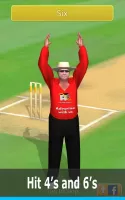 Smashing Cricket: cricket game