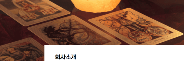 신비운 - 2026운세, 사주, 타로, 궁합, 토정비결