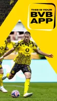 BVB