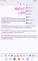 Text Editor