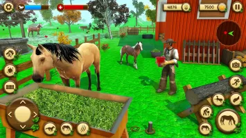 Wild Horse Games Survival Sim