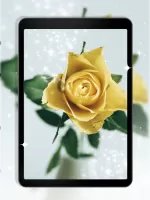 Rose Clock Live Wallpaper