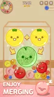 Melon Maker : Fruit Game