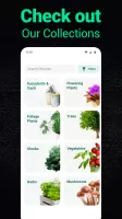 Plantum - Plant Identifier
