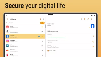 Password Manager SafeInCloud 2