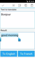 French English Translator