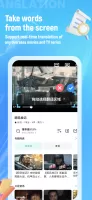 Video Voice Translate