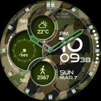 C-Void Watch Face