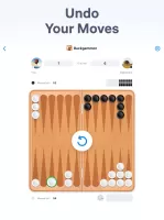 Backgammon - Board Game