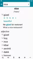 Turkish - English