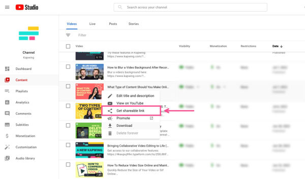 How to Download YouTube Shorts without the YouTube Watermark？