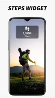Pedometer For Weight Loss
