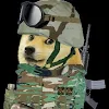XxDoge SoldierxX