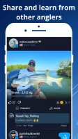 WeFish