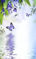 Butterfly Live Wallpaper