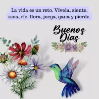 Frases de Buenos Días
