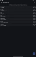VPN Client Pro