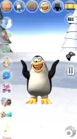 Sweet Little Talking Penguin