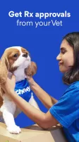 Chewy