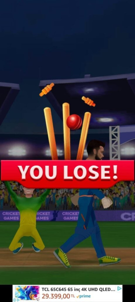 King Of Cricket Games
