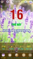 Bói Tổng Hợp - Tử Vi Toàn Tập