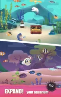 Puzzle Aquarium