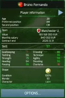 True Football 3